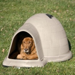dogloo dog house